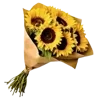 💛