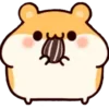 🐹