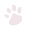 🐾