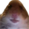 🐹