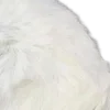 🐑