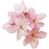 💐