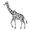 🦒