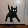 😱