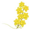 💛