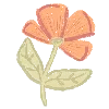 🌷