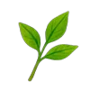 🌿
