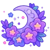 🌙