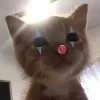 🤡