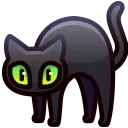 🐈‍⬛