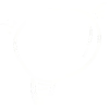 💡