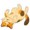 😸