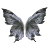 🦋