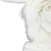 🐑