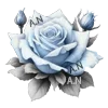 🌹