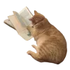 🐈