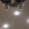 😶