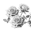 🌹