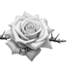 🌹