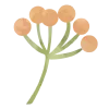 💐