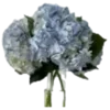 💐