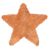⭐️