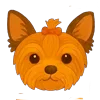 🐶