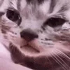 😢