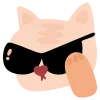 😼