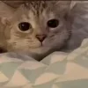 🙂