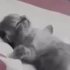 😵