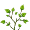 🌿