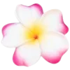 🌸