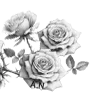 🌹