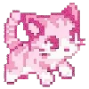 🐱