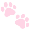 🎀