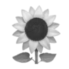 🌻