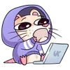 💻