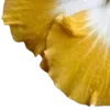 💛