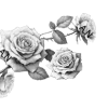 🌹