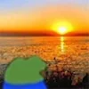 🌅