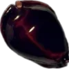 🌚