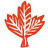🍁