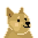 🦴