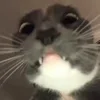 😳
