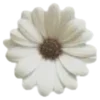 🌸