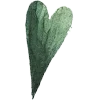 💚