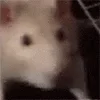 👻