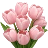 🌷