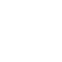 🌐